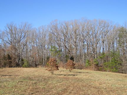 Land in Buckingham County, Virginia