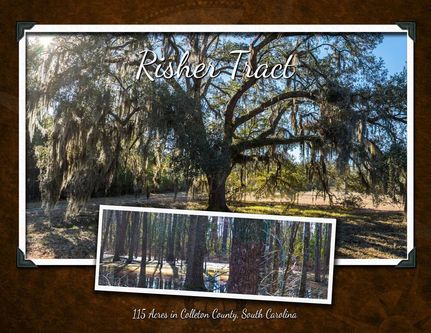 Farm and Ranch in Colleton County, South Carolina