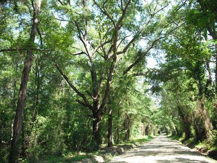 Land in Macon County, Georgia