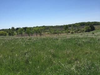 Farm and Ranch in Chisago County, Minnesota