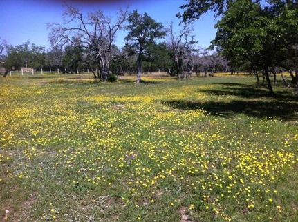 Land in Williamson County, Texas