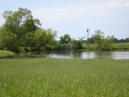 Farm and Ranch in Grayson County, Texas