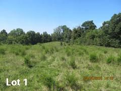 Farm and Ranch in Robertson County, Kentucky