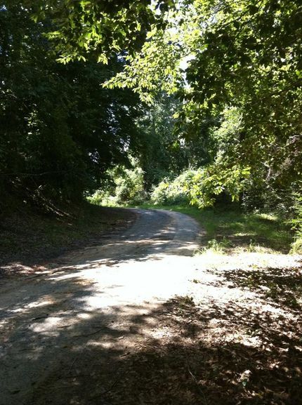 Land in Jackson Parish, Louisiana