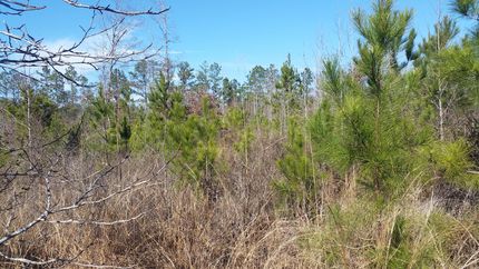 Farm and Ranch in Walker County, Alabama