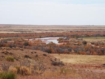 Farm and Ranch in Debaca County, New Mexico
