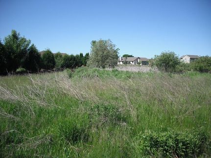 Timberland Property in Brown County, Wisconsin