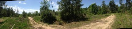 Farm and Ranch in Clark County, Arkansas