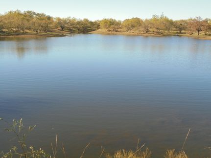 Undeveloped Land in Eastland County, Texas