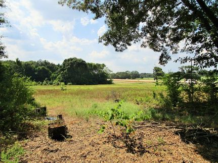 Undeveloped Land in Henderson County, Texas