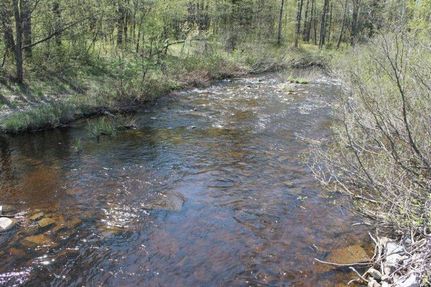 Farm and Ranch in Lewis County, New York