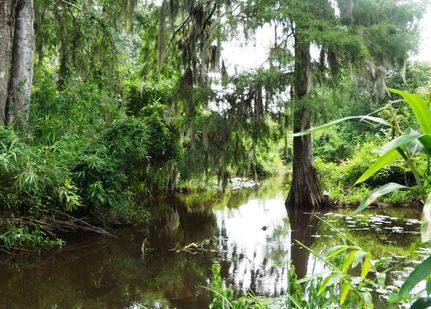 Land in Burke County, Georgia