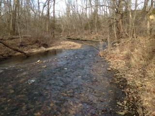 Waterfront Property in Greene County, Missouri