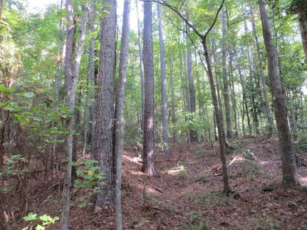 Farm and Ranch in Monroe County, Alabama