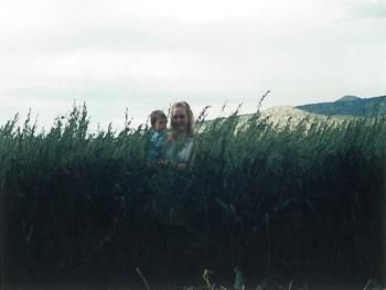 Farm and Ranch in Colfax County, New Mexico