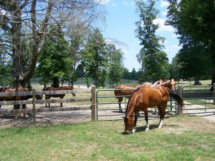 Land in Kershaw County, South Carolina