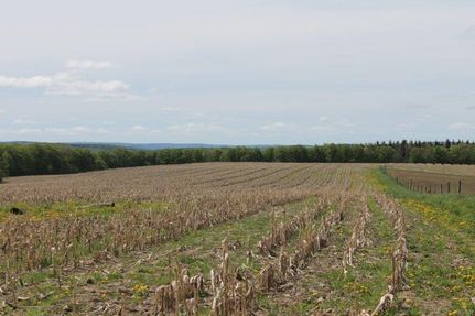 Farm and Ranch in Madison County, New York