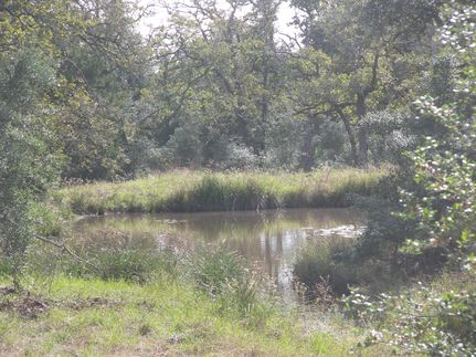 Farm and Ranch in Colorado County, Texas