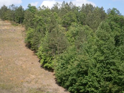 Farm and Ranch in Tippah County, Mississippi