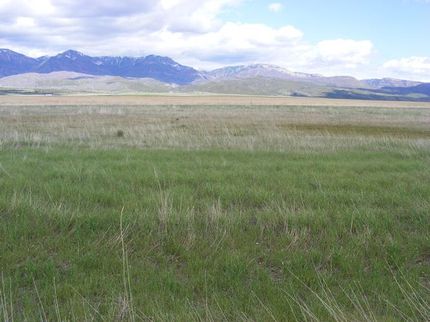 Farm and Ranch in Juab County, Utah