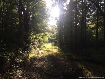 Farm and Ranch in Leake County, Mississippi