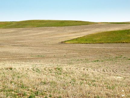 Farm and Ranch in Fergus County, Montana