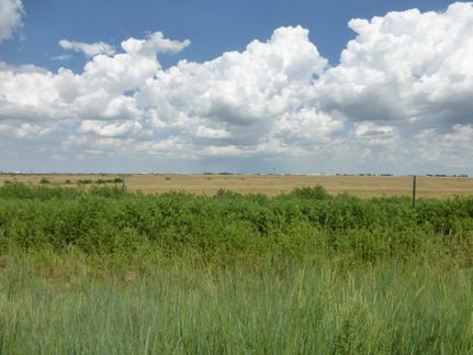 Farm and Ranch in Randall County, Texas