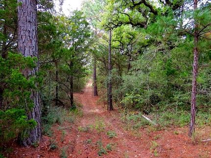 Undeveloped Land in Bastrop County, Texas