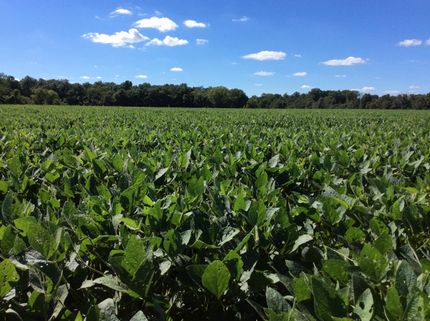 Land in Shelby County, Illinois