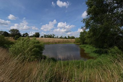 Timberland Property in Blount County, Alabama