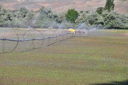Land in Gooding County, Idaho