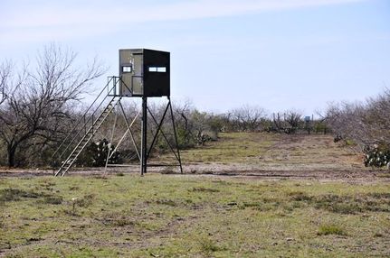 Land in McMullen County, Texas