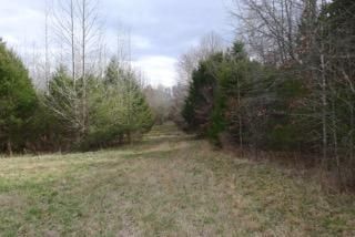Farm and Ranch in Hardeman County, Tennessee