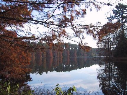 Land in Smith County, Texas