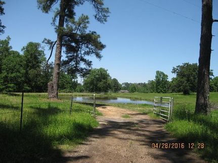 Land in Camp County, Texas