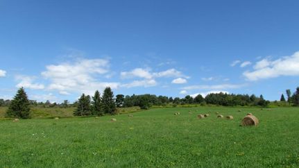 Farm and Ranch in Cortland County, New York
