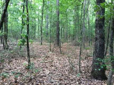 Land in Jefferson County, Arkansas