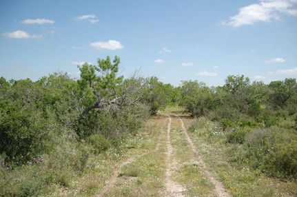 House in Duval County, Texas