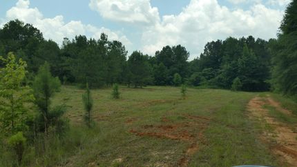 Recreational Property in Pike County, Alabama