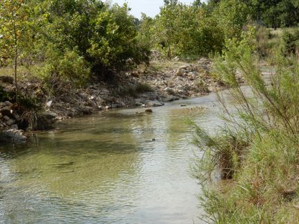 Farm and Ranch in Bandera County, Texas