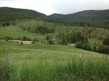 Undeveloped Land in Stevens County, Washington