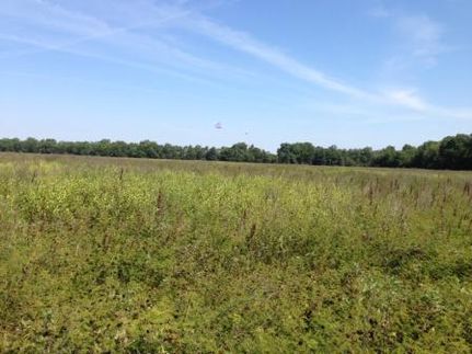 Farm and Ranch in Desha County, Arkansas
