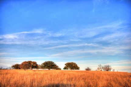Farm and Ranch in Llano County, Texas