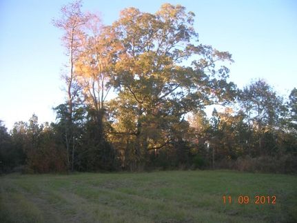 Farm and Ranch in Wilcox County, Alabama