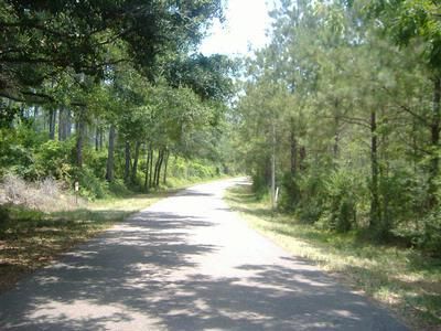 Farm and Ranch in Lamar County, Mississippi