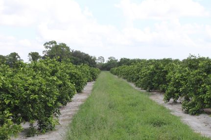 Farm and Ranch in Hendry County, Florida