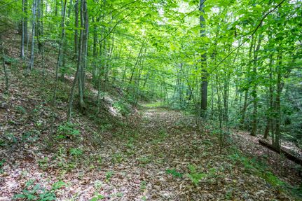 Horse Property in Smyth County, Virginia