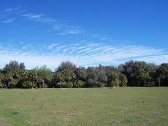 Farm and Ranch in Hillsborough County, Florida