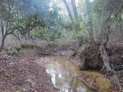 Farm and Ranch in Chilton County, Alabama