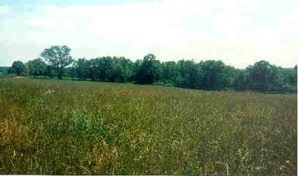 Farm and Ranch in Howell County, Missouri
